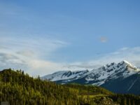 Featured image for article